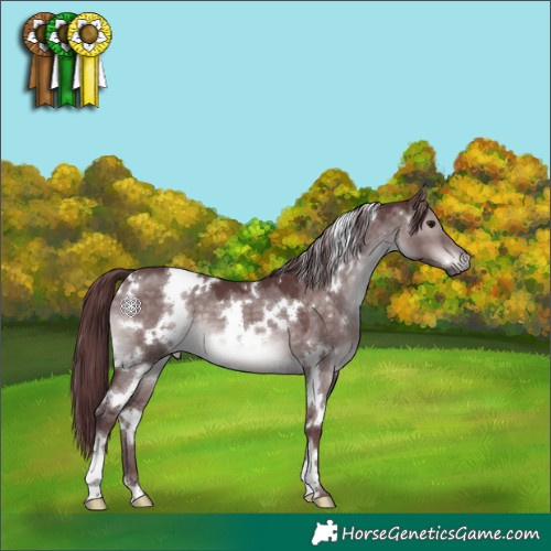 Horse Color:Platinum White Spotted Chocolate Brown Dun 