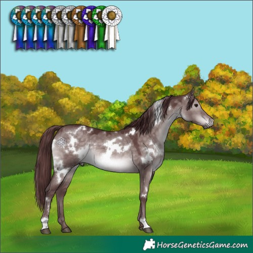 Horse Color:Platinum White Spotted Chocolate Brown Dun