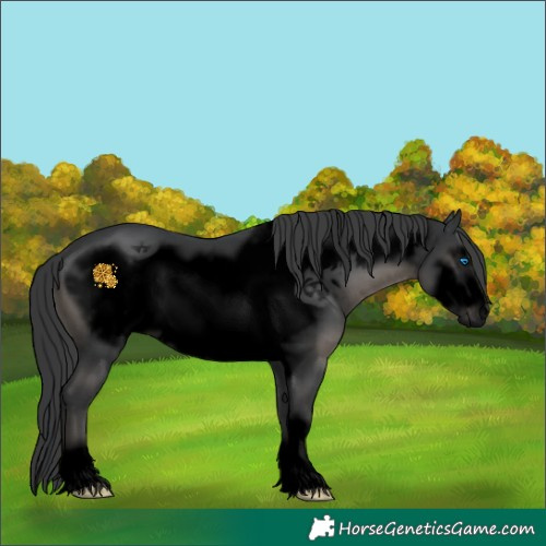 Horse Color:Void Black Frame 