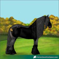 Horse Color:Void Black Frame