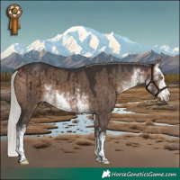 Horse Color:White Spotted Silver Brown Dun Brindle