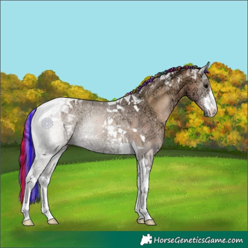 Horse Color:Painted White Spotted Buckskin Ice Onyx Tobiano 