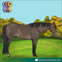 Horse Color:Brown Dun Varnish Rabicano