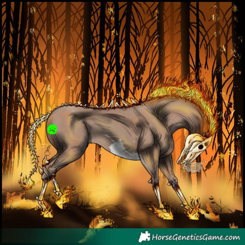 Horse Color:Classic Champagne 