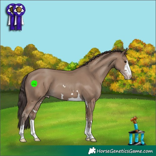 Horse Color:Classic Champagne 