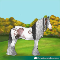 Horse Color:White Spotted Brown Onyx Splash Tobiano 