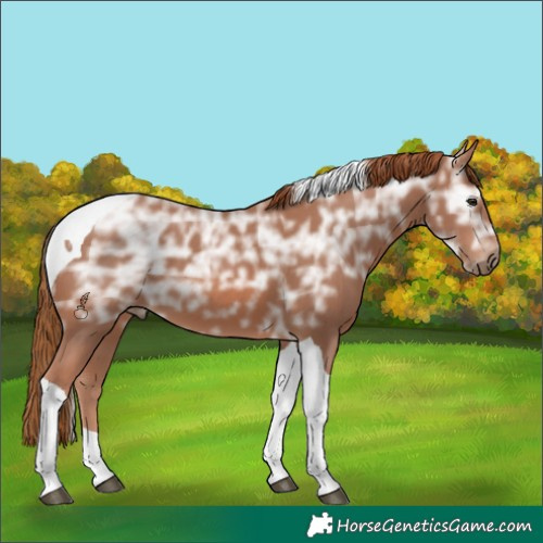 Horse Color:Chestnut Ice Tobiano 