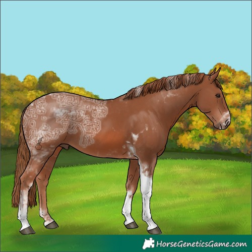 Horse Color:Chestnut Ice Tobiano 