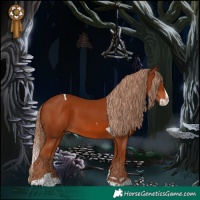 Horse Color:Chestnut Splash Tobiano