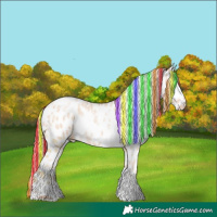 Horse Color:Painted Silver Classic Champagne Ice Pearl Tobiano Appaloosa Rabicano