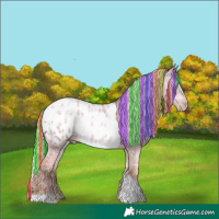 Horse Color:Gray Painted Silver Classic Champagne Ice Pearl Tobiano Appaloosa Rabicano