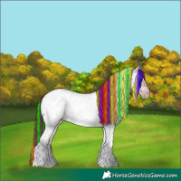 Horse Color:Gray Painted Gold Champagne Ice Roan Dun Tobiano Frame Appaloosa Rabicano 