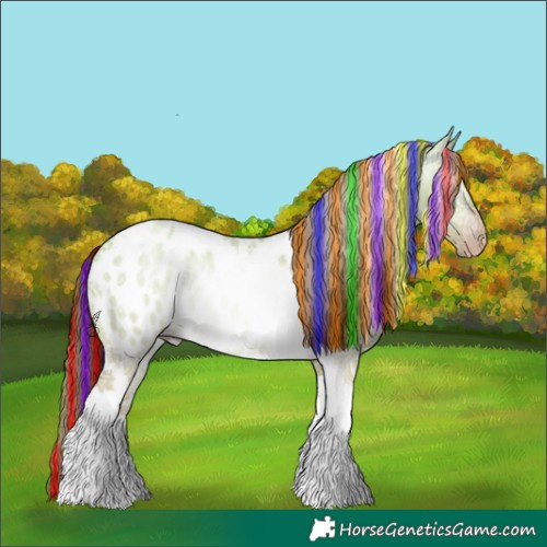Horse Color:Gray Painted Gold Champagne Ice Roan Dun Tobiano Near Leopard Rabicano 