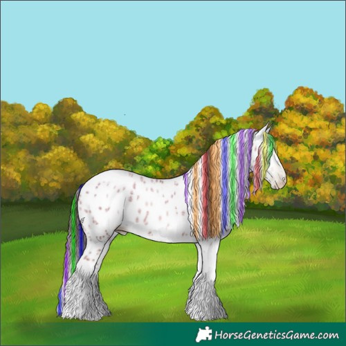 Horse Color:Gray Painted White Spotted Liver Red Dun Ice Pearl Tobiano Frame Appaloosa Rabicano 