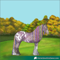 Horse Color:Gray Painted Silver Black Ice Pearl Tobiano Appaloosa Rabicano