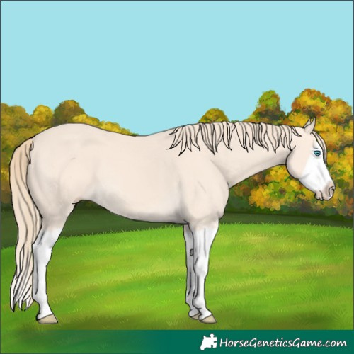 Horse Color:Perlino Splash  and Perlino Splash 