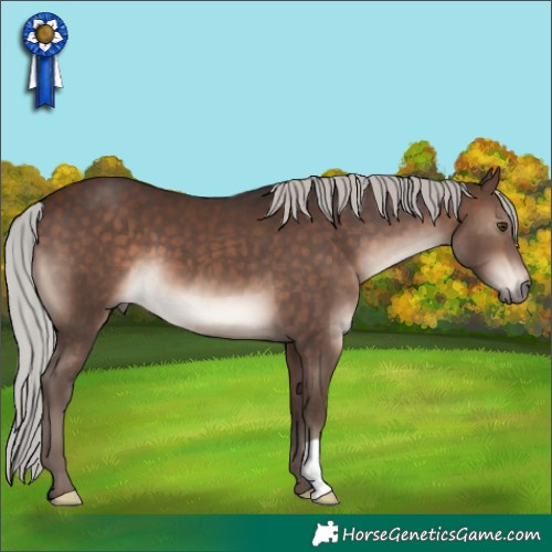 Horse Color:Silver Bay Mushroom 