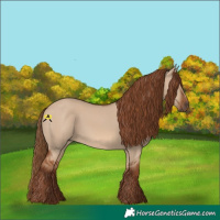 Horse Color:Red Dun 