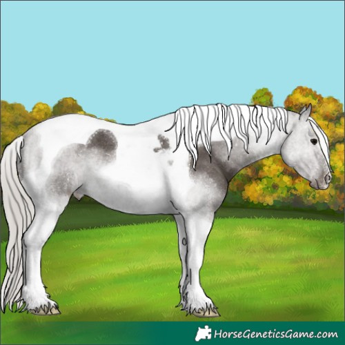 Horse Color:Silver Black Tobiano