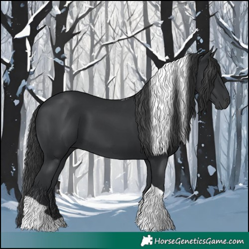 Horse Color:Black Tobiano