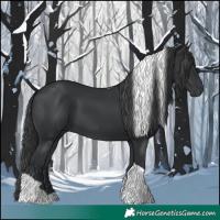 Horse Color:Black Tobiano 
