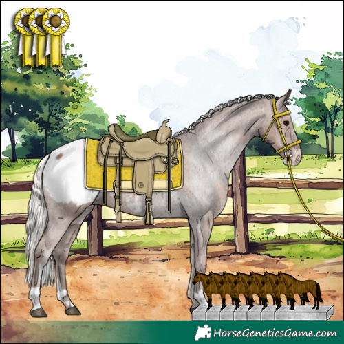 Horse Color:Silver Black Sabino Appaloosa and Silver Black Appaloosa Rabicano