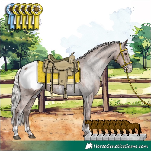 Horse Color:Silver Black Sabino Appaloosa  and Silver Black Appaloosa Rabicano 