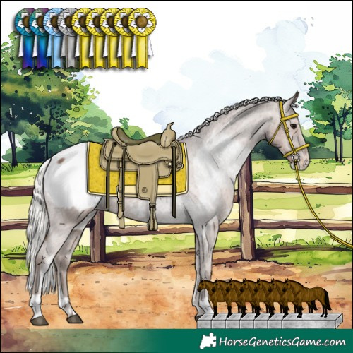 Horse Color:Silver Black Sabino Appaloosa  and Silver Black Appaloosa Rabicano 