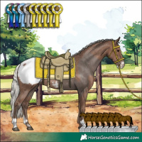 Horse Color:Silver Black Sabino Snowcap and Silver Black Snowcap Rabicano