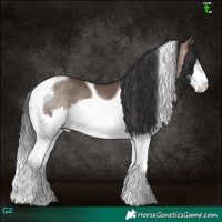 Horse Color:Brown Dun Splash Tobiano 