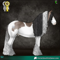Horse Color:Brown Dun Splash Tobiano 