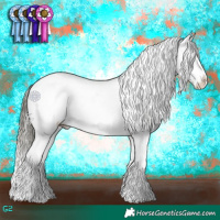 Horse Color:White Spotted Buckskin Dun Splash Appaloosa Brindle