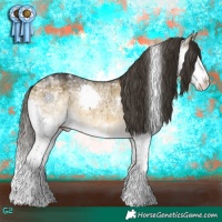 Horse Color:White Spotted Buckskin Dun Splash Appaloosa Brindle