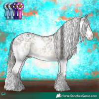 Horse Color:White Spotted Buckskin Dun Splash Appaloosa Brindle