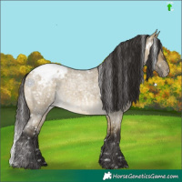 Horse Color:White Spotted Buckskin Roan Dun Snowcap 