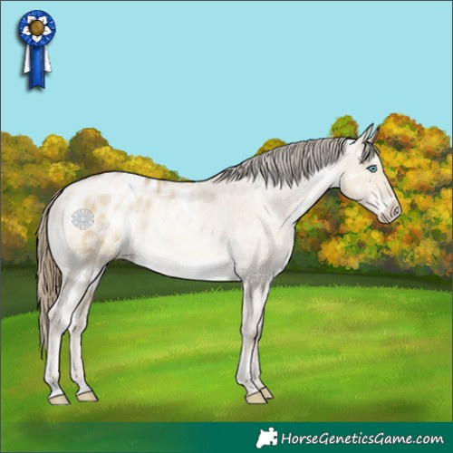 Horse Color:White Spotted Buckskin Pearl Dun Frame Appaloosa Brindle 