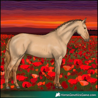 Horse Color:Red Dun 