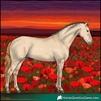 Horse Color:Red Dun 