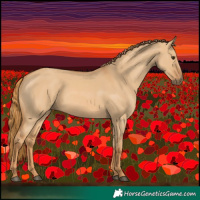 Horse Color:Red Dun 