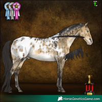 Horse Color:White Spotted Buckskin Dun Frame Appaloosa Rabicano Brindle