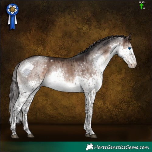 Horse Color:Brown Dun Splash Tobiano Varnish Rabicano Brindle 