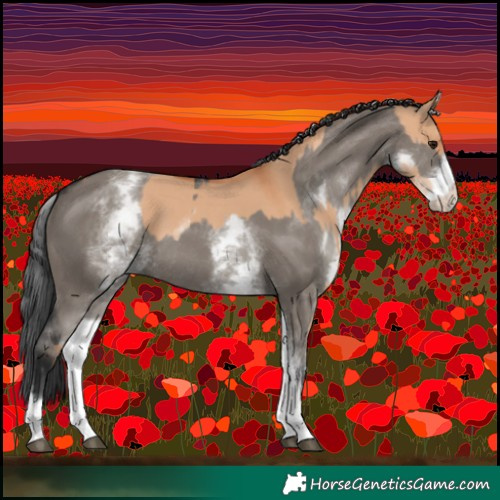 Horse Color:White Spotted Bay Dun Rabicano  and White Spotted Grullo Rabicano 