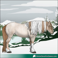 Horse Color:Liver Red Dun Roan Pearl Tobiano Rabicano