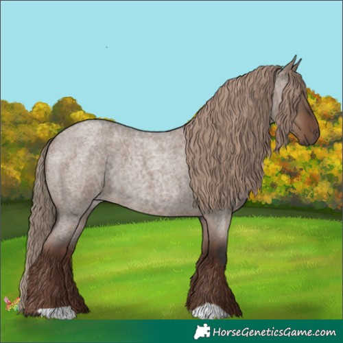 Horse Color:Liver Red Dun Roan Rabicano