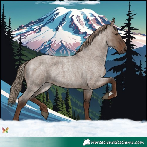 Horse Color:Liver Red Dun Roan Rabicano 