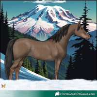 Horse Color:Liver Red Dun Rabicano