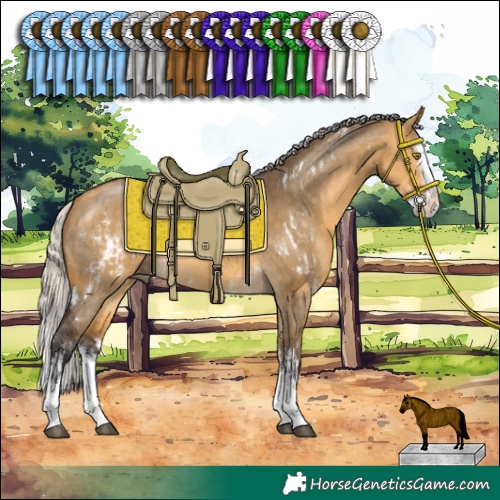 Horse Color:White Spotted Silver Buckskin Dun Sabino Splash Rabicano  and Silver Buckskin Dun Sabino Splash 