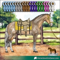 Horse Color:White Spotted Silver Buckskin Dun Sabino Splash Rabicano  and Silver Buckskin Dun Sabino Splash 