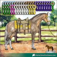 Horse Color:White Spotted Silver Buckskin Dun Sabino Splash Rabicano  and Silver Buckskin Dun Sabino Splash 