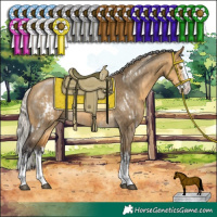 Horse Color:White Spotted Silver Buckskin Dun Sabino Splash Rabicano  and Silver Buckskin Dun Sabino Splash 
